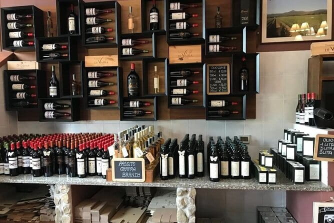 Exclusive Bolgheri from Florence: The Land of the Super Tuscan - Price and logistics: what $667.37 buys in real life