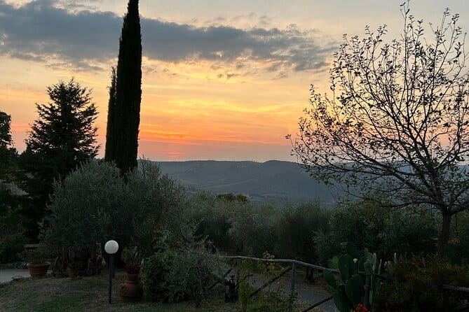 Exclusive Chianti Classico Day Trip from Florence - Stop 1 in San Casciano: Luiano’s 9th-Century Roots and Renaissance Cellars