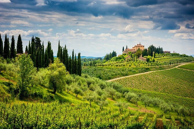 Exclusive Chianti Classico Day Trip from Florence - Guides and the Private Tour Feel: From Angel to Daria to Paola