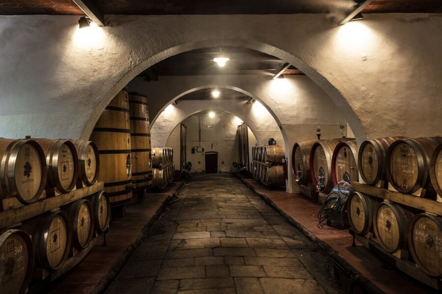 Exclusive Chianti Rufina Half-Day with lunch from Florence - Key Highlights You’ll Care About