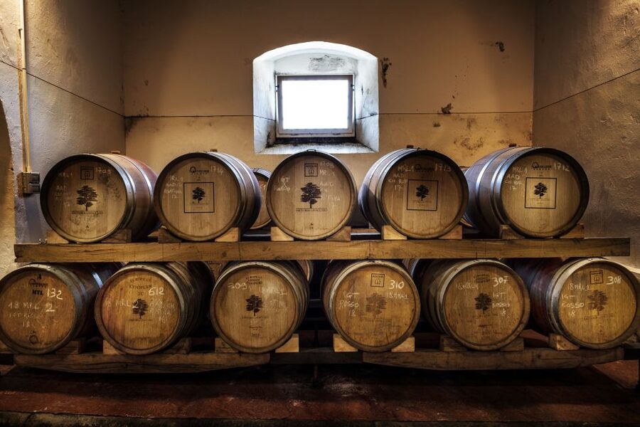 Exclusive Chianti Rufina Half-Day with lunch from Florence - Who This Tour Fits Best (and Who Might Want Another Option)