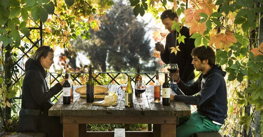 Exclusive Chianti Rufina Half-Day with lunch from Florence - Why Chianti Rufina Tastes More Structured Than Usual Chianti