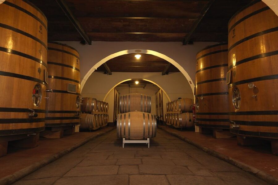 Exclusive Chianti Rufina Half-Day with lunch from Florence - Tenuta di Grignano: The 105-Minute Start to Your Chianti Rufina Education