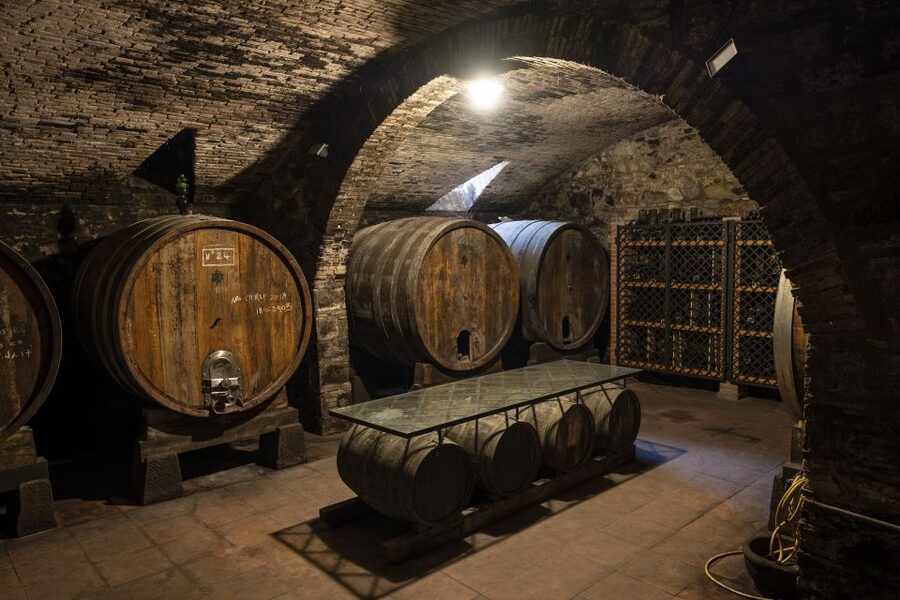 Exclusive Chianti Rufina Half-Day with lunch from Florence - Tenuta Bossi and a km 0 Lunch: Where Flavor Turns Into a Meal