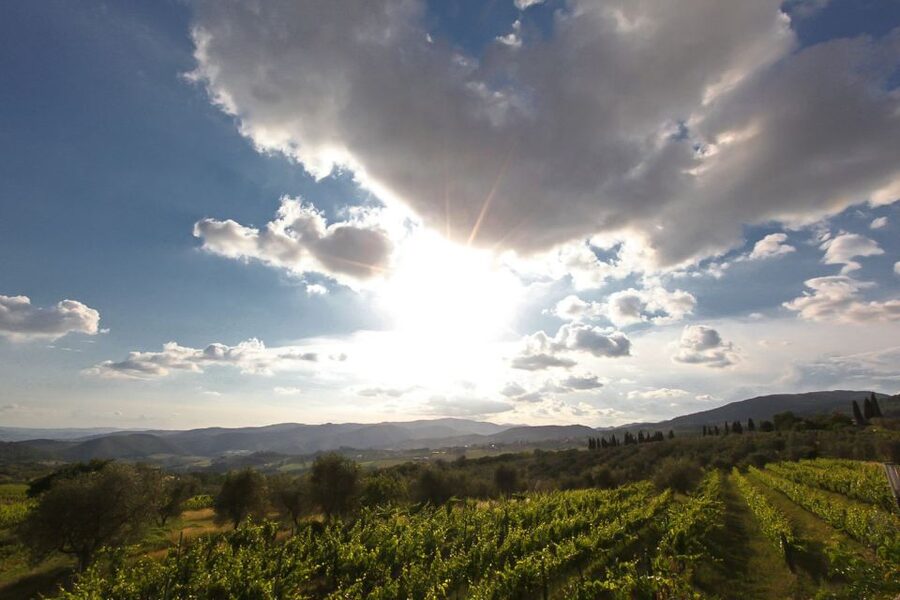 Exclusive Chianti Rufina Half-Day with lunch from Florence - The Sommelier/Guide Factor: What You Get Beyond the Pour
