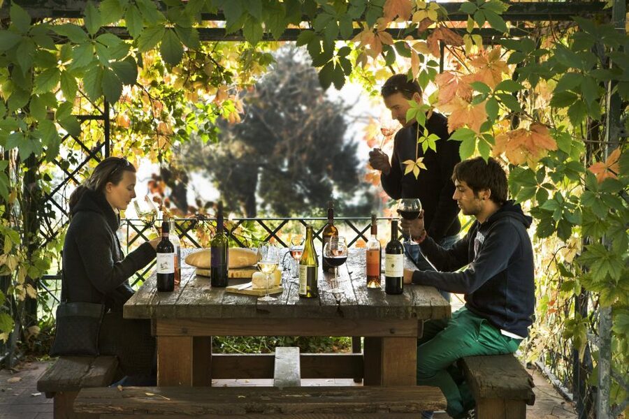 Exclusive Chianti Rufina Half-Day with lunch from Florence - Private Transportation From Florence: Value You Feel in Real Time
