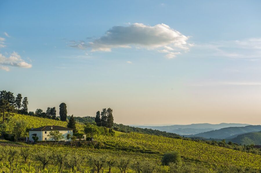 Exclusive Chianti Rufina Half-Day with lunch from Florence - Morning Pickup From Florence: How the Half-Day Actually Works