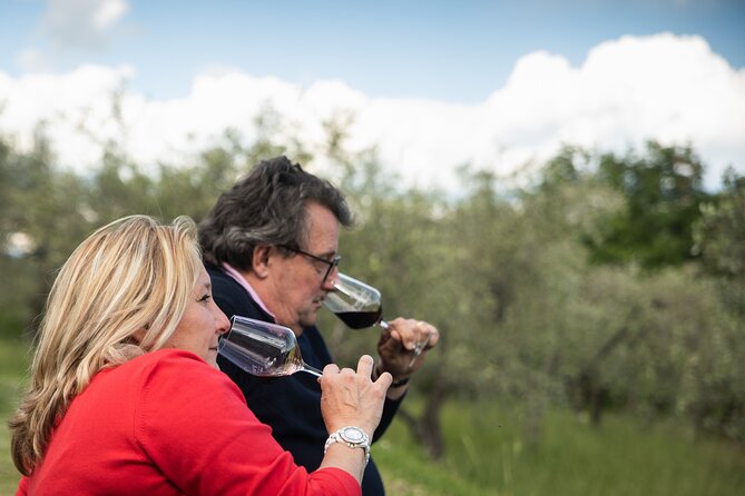 Exclusive lunch, Winery tour, Organic wines in Chianti Classico - Organic Chianti Classico tasting: how the wine explanations work