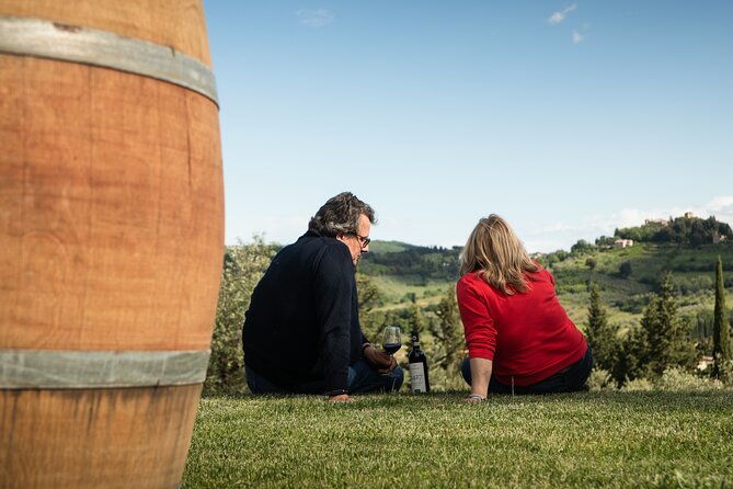 Exclusive lunch, Winery tour, Organic wines in Chianti Classico - Exclusive lunch: veranda views, four courses, and tiramisu