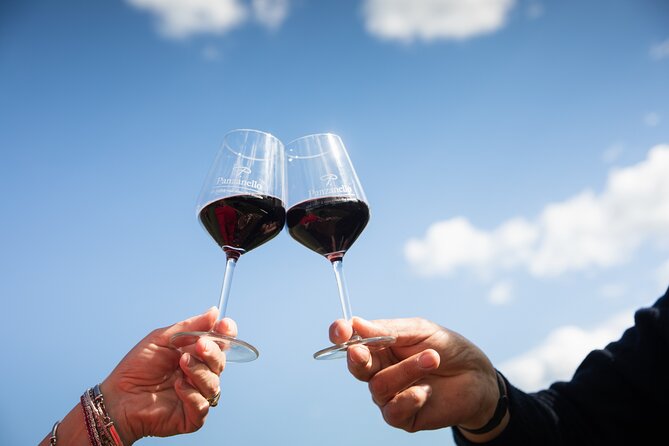 Exclusive lunch, Winery tour, Organic wines in Chianti Classico - Price and logistics: what $132.45 per person buys you