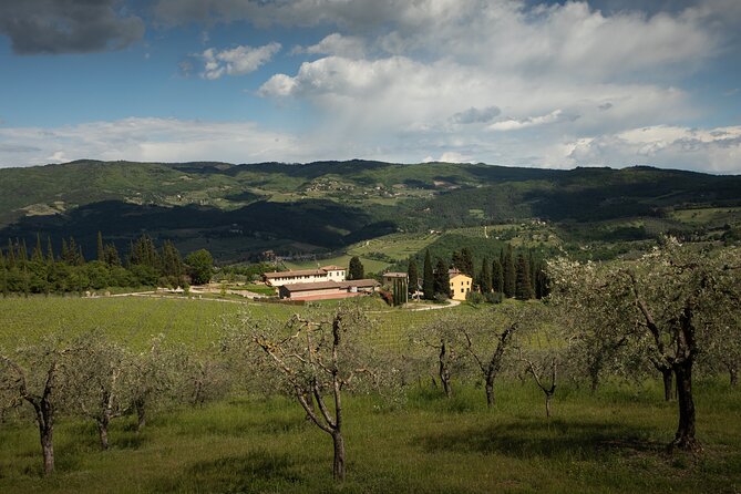 Exclusive lunch, Winery tour, Organic wines in Chianti Classico - Getting there from Florence: meeting point matters