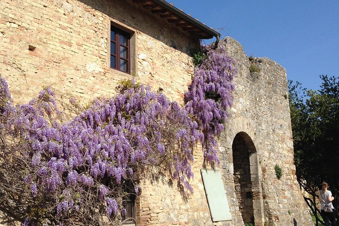 Exclusive Private tour To Siena and San Gimignano - Key highlights you’ll actually feel during the day