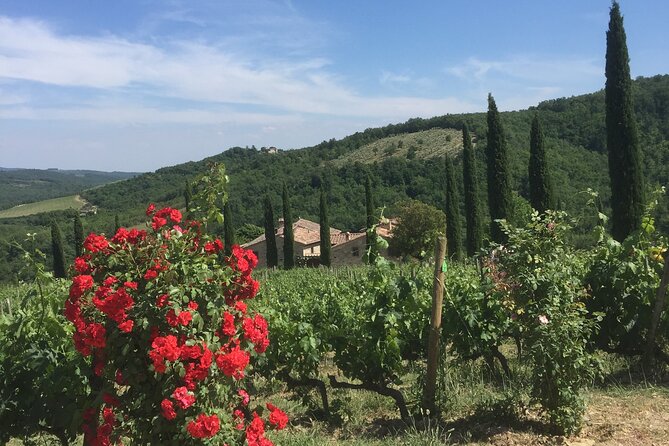Exclusive Private tour To Siena and San Gimignano - Comfort and pacing: how the day stays manageable