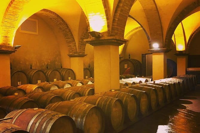 Exclusive Private Tuscany Wine Tour & Food Pairing Session - Key highlights you’ll feel right away