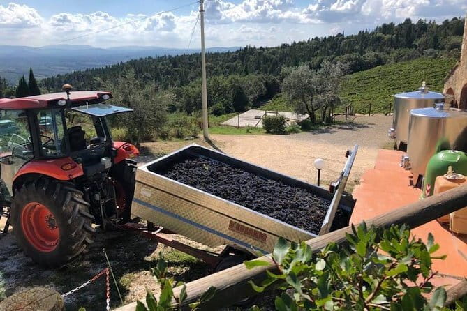 Exclusive Private Tuscany Wine Tour & Food Pairing Session - The day’s flow: driving first, tastings on purpose