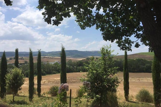 Exclusive Private Tuscany Wine Tour & Food Pairing Session - Starting in Florence: door-to-door pickup and scenic drive planning