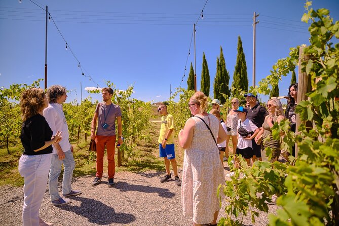 Exclusive Siena and San Gimignano Tour & Chianti Wine Experience - Siena’s Piazza del Campo and what to look for