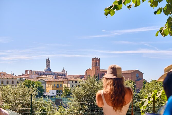 Exclusive Siena and San Gimignano Tour & Chianti Wine Experience - Rocca of Montestaffoli: the best viewpoint moment