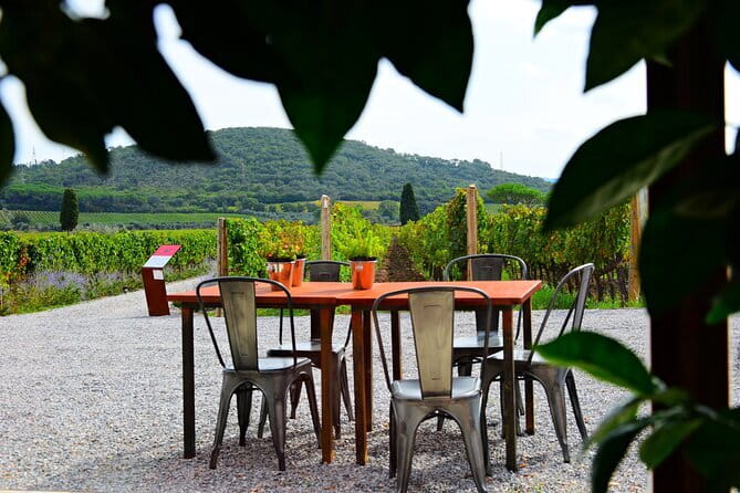 Exclusive Suvereto tour from Florence: Land of Elisa Bonaparte - Azienda Agricola I Mandorli: sea views, organic philosophy, and real cellar time