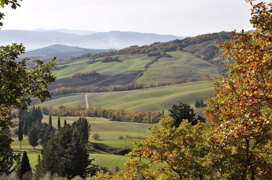 Exclusive Val d’Orcia Full-Day Wine Tour from Florence - Key Highlights You’ll Notice Fast