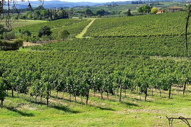 EXCLUSIVE Wine Tour in Chianti & San Gimignano (Lunch & Wine Tasting included) - Timing and pacing: how to make the 6 hours work