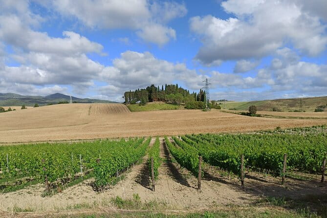 EXCLUSIVE Wine Tour in Chianti & San Gimignano (Lunch & Wine Tasting included) - San Gimignano in 90 minutes: towers, saffron, and Vernaccia culture