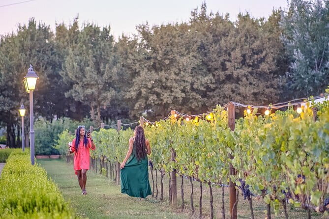 Exclusive Winery Tour with Tasting and Dinner in Chianti vineyard - Key things I’d circle before you book