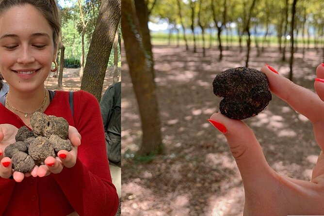 Experience Tuscan Truffle Hunting with Wine and Lunch - Who should book this truffle hunt (and who might skip)