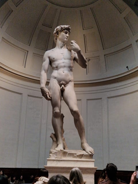 Explore Accademia Gallery on Free Museum Day - How the 1-hour schedule is likely to feel