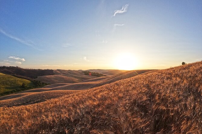 Falconry experience in Tuscany - A private falconry lesson at the punto panoramico in Asciano