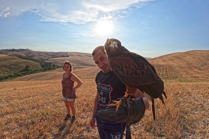 Falconry experience in Tuscany - What you’ll see: Harris’s buzzard and the steppe eagle in free flight