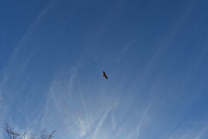 Falconry experience in Tuscany - Meeting point: what to expect at the viewpoint start