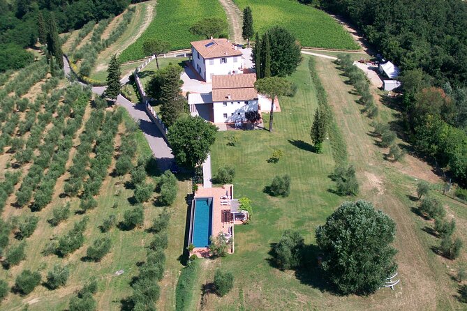 Farm To table Experience on an organic hilltop estate in Tuscany - Agriturismo Tenuta Chiudendone: an organic hilltop you can feel