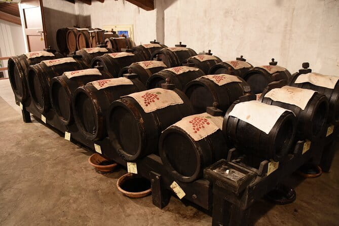 Ferrari Parmesan Cheese Balsamic Vinegar wine & food PRIVATE TOUR from FLORENCE - Museo Ferrari: big color, big stories, and a dose of speed mythology