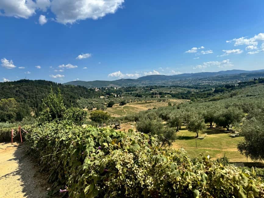Fiesole E-Bike Tour with Olive Oil Tasting or Pool & Chill - Morning option: traditional olive mill and tasting like a pro