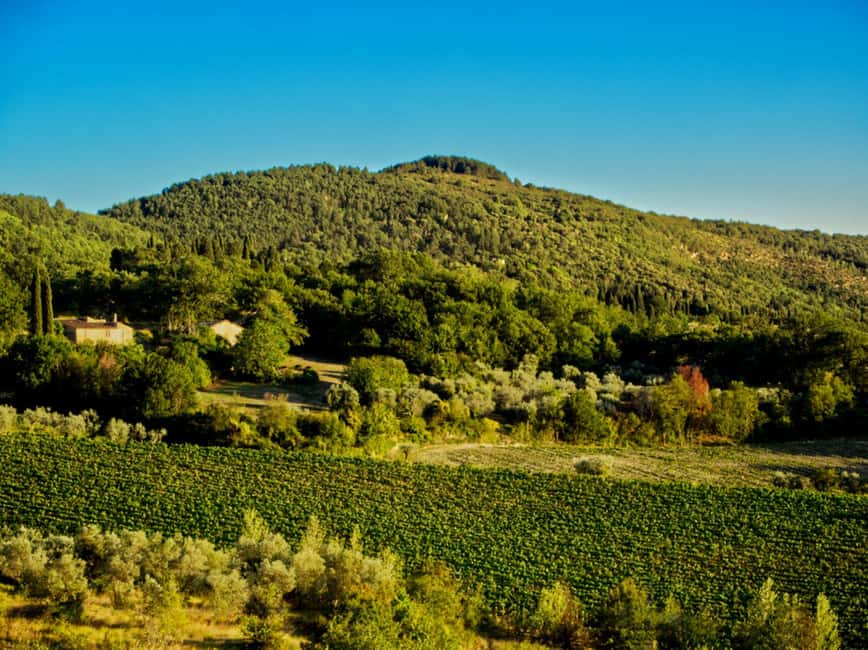 Fiesole E-Bike Tour with Olive Oil Tasting or Pool & Chill - How the price stacks up for 5 hours in Tuscany