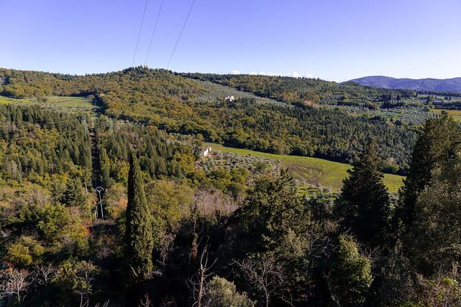 Fiesole Hike & Italian Aperitivo - Small group comfort: how the guide keeps things easy and personal