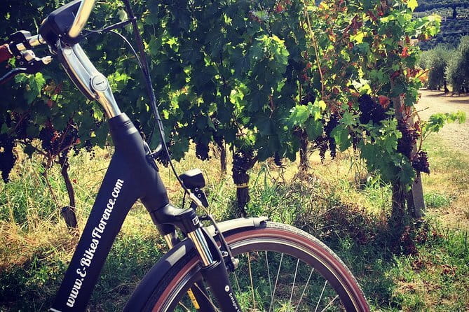 Fiesole: Tuscan Countryside Half Day E-Bike Tour & Farm visit - Settignano and Montececeri: Michelangelo and Leonardo on the Same Hillside