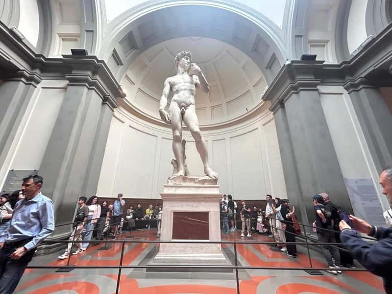 Florence:Accademia + David Entrance Ticket +Agudio Guide APP - Medici musical instruments (including Stradivarius): art you can almost hear