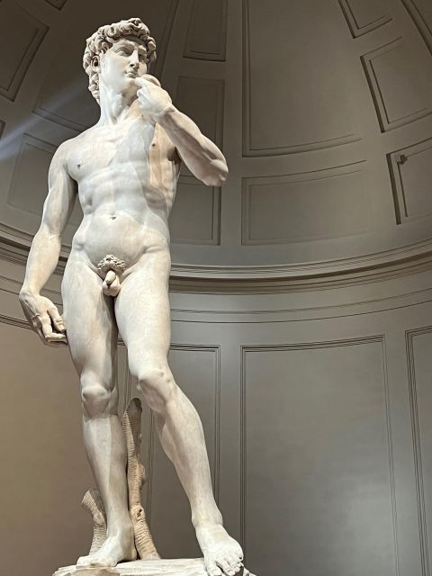 Florence: Accademia Gallery Guided Tour and Priority Entry - Key things you’ll notice on this Accademia Gallery tour