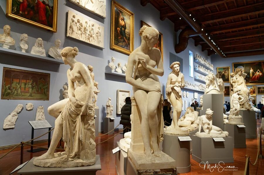 Florence: Accademia Gallery Timed Entry Ticket - Medici Musical Instruments and the Stradivarius Surprise