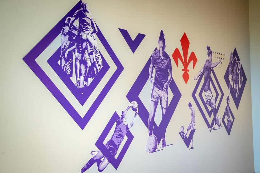 Florence: ACF Fiorentina Viola Park Guided Tour & Drink - Store stop, the 10-minute history video, and your Viola gadget