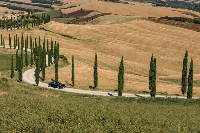 Florence Airport Private Departure Transfer - Luggage, Families, and Small-Pet Reality Checks
