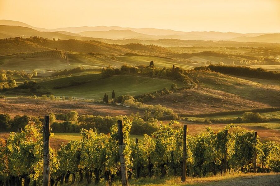 Florence/Badesse: Tuscany Group Vespa Tour with Wine Tasting - Castellina in Chianti: The Best Place to Pause and Wander
