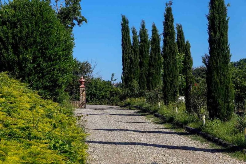 Florence by E-Bike: Hidden Hills & Local Thrills - Santo Spirito backstreets: a calmer first chapter of the city
