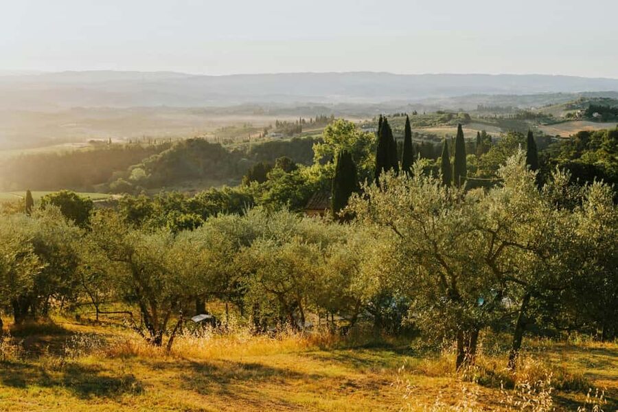Florence by E-Bike: Hidden Hills & Local Thrills - Up to Piazzale Michelangelo: the classic angle with better timing