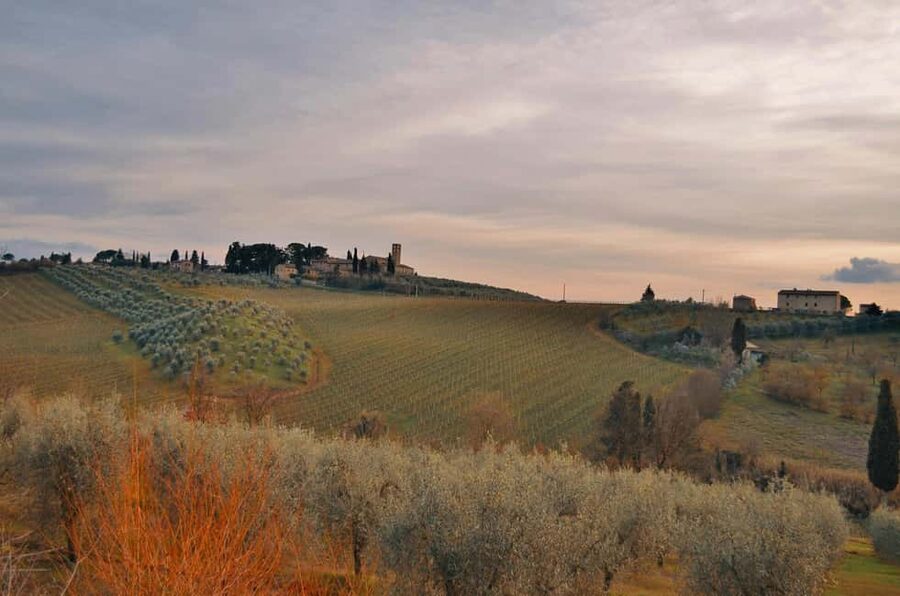 Florence by E-Bike: Hidden Hills & Local Thrills - E-bikes in Florence: easy rides, real limits, and one small maintenance note