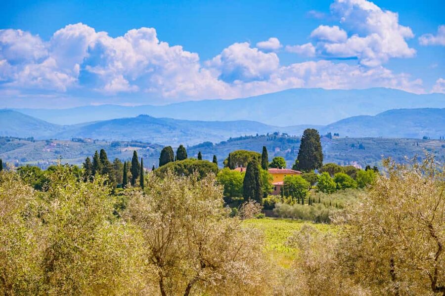 Florence: Chianti E-Bike Tour with Lunch & Two Wine Tastings - Key takeaways before you go
