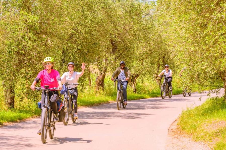 Florence: Chianti E-Bike Tour with Lunch & Two Wine Tastings - Price and value: is $116 per person worth it?