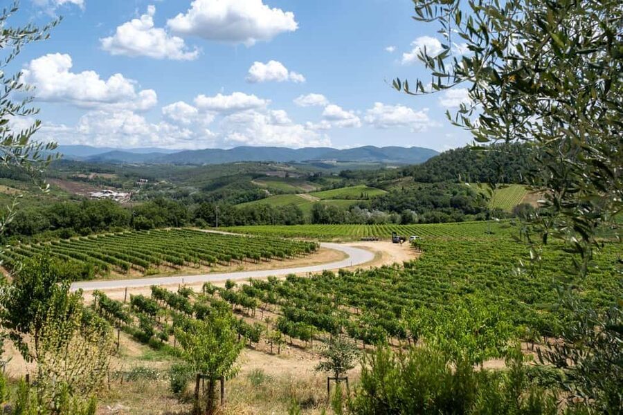 Florence: Chianti E-Bike Tour with Wine Tasting and Lunch - Who should book this e-bike Chianti tour?